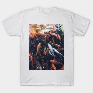 Koi Fish Family T-Shirt